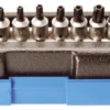 BGS Bit-Einsatz-Satz | 6,3 Mm (1/4") | TS-Profil (für Torx Plus) Mit Bohrung | 9-tlg. – 2355
